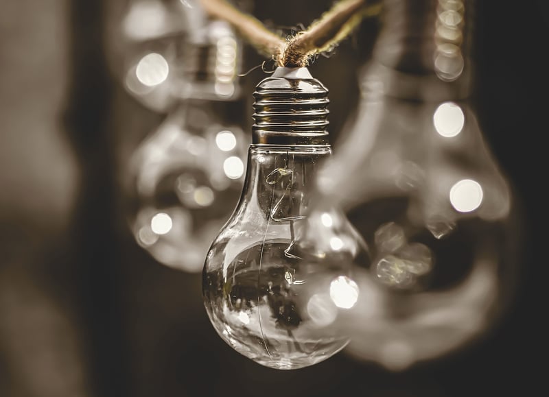 Sustainability Insights